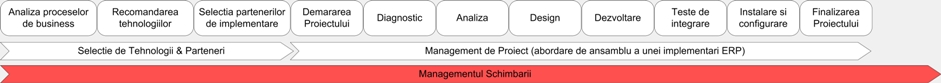Managementul Schimbarii, Different IT Consulting